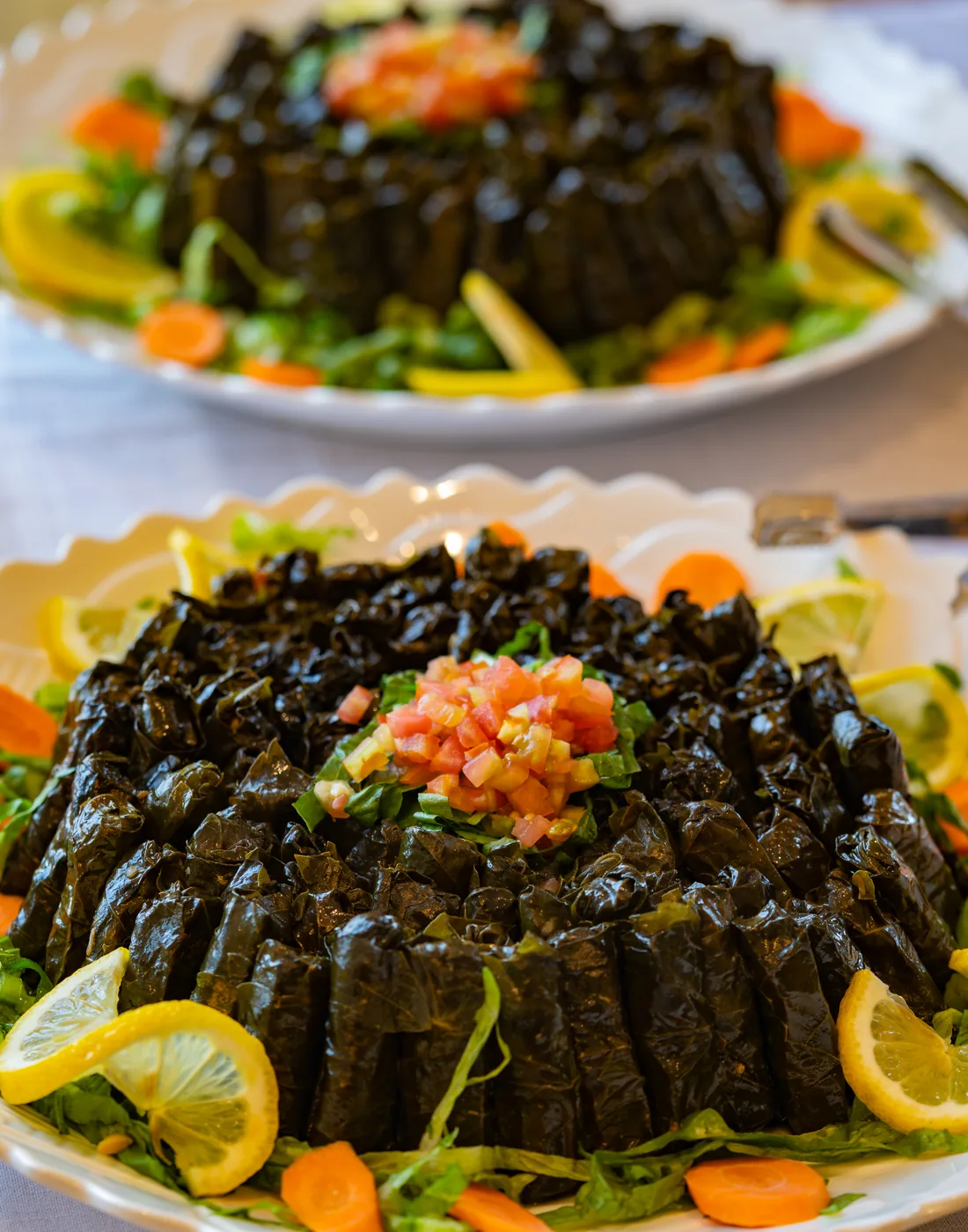 Close-up of stuffed vine leaves with fresh garnish